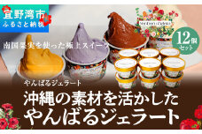沖縄の素材を活かしたやんばるジェラート　12個セット　 アイスクリーム アイス ジェラート