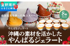 沖縄の素材を活かしたやんばるジェラート　8個セット　アイスクリーム アイス ジェラート