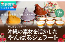 沖縄の素材を活かしたやんばるジェラート　6個セット　アイスクリーム アイス ジェラート