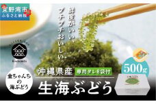 【沖縄県産】生海ぶどう　500g