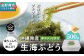 【沖縄県産】生海ぶどう 島食専門店kinchanchi 　金ちゃんちの海ぶどう
