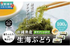 沖縄県産　生海ぶどう　100g×3パックセット