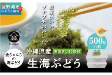 【沖縄県産】生海ぶどう　1kg（500g×2箱）