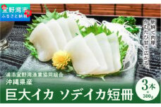 【沖縄県産 巨大イカ】ソデイカ短冊