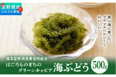 【はごろものまちのグリーンキャビア】海ぶどう（500g）