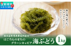 【はごろものまちのグリーンキャビア】海ぶどう（1kg）