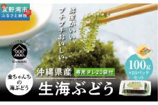 沖縄県産　生海ぶどう　100g×10パックセット
