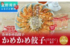かめかめ島餃子 (豚肉・にんにくあり) 30個 × 2袋 | 包みたて 工場直売 餃子 シママース | 簡単調理 手軽 | 餃子 豚肉 出汁 沖縄 お取り寄せ グルメ 冷凍 にんにく