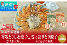 かめかめ島餃子 やんばる若鶏 30個 × 2袋 |  香るとりしそ餃子(若鶏・にんにくなし) さっぱりとり餃子(若鶏・にんにくあり)  | 包みたて 工場直売 餃子 シママース | 簡単調理 手軽 | 餃子 鶏肉 出汁 沖縄 お取り寄せ グルメ 冷凍