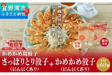 かめかめ島餃子 (豚肉・やんばる若鶏/にんにくあり) 30個 × 2袋 | さっぱりとり餃子(若鶏・にんにくあり) かめかめ餃子(豚肉・にんにくあり) | 包みたて 工場直売 餃子 シママース | 簡単調理 手軽 | 餃子 豚肉 鶏肉 出汁 沖縄 お取り寄せ グルメ 冷凍