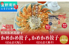 かめかめ島餃子 (豚肉/にんにくあり・なし) 30個 × 2袋 | 包みたて 工場直売 餃子 シママース | 簡単調理 手軽 | 豚肉 出汁 沖縄 お取り寄せ グルメ 冷凍