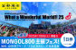 モンパチフェス MONGOL800 フェス What a Wonderful World!! 25 | 11/8(土)チケット 