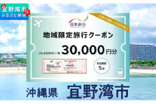沖縄県 宜野湾市 日本旅行 地域限定旅行クーポン (紙券)【30,000円分】 | ふるさと納税 旅行 沖縄 ホテル 旅行券 トラベル ふるさと チケット 宿泊 宿泊券 宿 観光 飛行機 送料無料 リゾート ファミリー ペア ダイビング 宜野湾 普天間 トロピカルビーチ