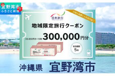 沖縄県 宜野湾市 日本旅行 地域限定旅行クーポン (紙券)【300,000円分】 | ふるさと納税 旅行 沖縄 ホテル 旅行券 トラベル ふるさと チケット 宿泊 宿泊券 宿 観光 飛行機 送料無料 リゾート ファミリー ペア ダイビング 宜野湾 普天間 トロピカルビーチ