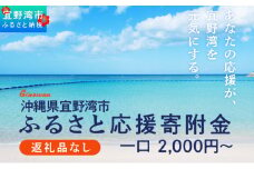 沖縄県宜野湾市ふるさと応援寄附金 一口 2,000円～ | ふるさと納税 |  寄附のみの応援 寄附のみ 返礼品なし 返礼品無し 御礼品なし 御礼品無し