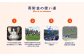 沖縄県 宜野湾市 応援寄附金 返礼品なし | 寄附金の使い道について①