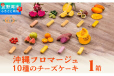 お菓子 沖縄フロマージュ１０種のチーズケーキ 1箱【審査員特別賞 受賞】【宜野湾市商工会長賞 受賞】