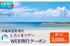 沖縄県 宜野湾市 しろくまツアーで利用可能なWEB旅行クーポン 選べる 3,000円分～ | ふるさと納税 ふるさと | 送料無料 | 沖縄 旅行 トラベル 観光 リゾート ツアー | ホテル 宿 宿泊 | 旅行券 チケット 宿泊券 紙券 地域限定旅行クーポン 