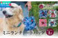 ミニ ランチ トート バッグ | 沖縄県 宜野湾市 ふるさと納税 | 小さめ お弁当 | 紅型 花柄 テキスタイル