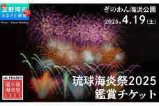 琉球海炎祭2025 選べる 鑑賞チケット | 沖縄県宜野湾市ふるさと納税 | A2席 小人1名