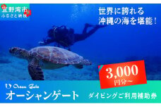 ダイビング マリンスポーツ オーシャンゲート ご利用補助券 30,000円分 | 沖縄県 宜野湾市 ふるさと納税 ふるさと | 送料無料 | 沖縄 旅行 トラベル 観光 リゾート 美ら海 | ご利用券 補助券