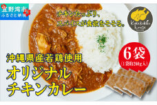 沖縄県産若鶏使用 オリジナルチキンカレー (1袋 約260g)  6袋セット | とりの丸焼こけこっこハウス | トマトベース オリジナル スパイス お肉たっぷり にんにくたっぷり 辛さ控え目 ヘルシー | 沖縄県 宜野湾市 | 冷凍 送料無料