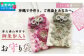普天間山 神宮寺宮 御朱印入り お守り袋 インド刺繡リボン ピンク | 数量限定 受注生産 | 株式会社Bead'lL