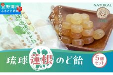 琉球蓮根のど飴 (100g) × 5袋 セット [ 国産 無添加 保存料不使用 添加物不使用 ] | 【令和５年度 宜野湾市特産品推奨認定】 自然栽培の蓮根と甜菜糖でつくったのど飴 体に優しい | NATURAL TONE | のどあめ あめ 飴 アメ キャンディ ドロップ | 蓮根パワー 食物繊維 | 沖縄県 宜野湾市 送料無料