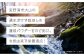 琉球蓮根のど飴 国産 無添加 添加物不使用 | NATURAL TONE | 沖縄県 宜野湾市 | 湧水栽培で栄養豊富