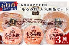 AH-2 石垣島のブランド豚「もろみ豚」の人気商品セット