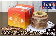 AF-2 バウムクーヘン「きじむんのがじゅまるバウム」