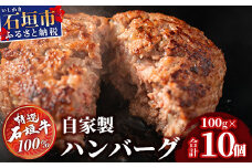 石垣牛 ハンバーグ ≪100g10個≫（八重山パーツミート）【 ビーフハンバーグ 手作り ハンバーグ いしがき牛ハンバーグ 石垣牛 】I-9 