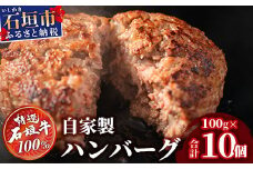 石垣牛 ハンバーグ ≪100g10個≫（八重山パーツミート）【 ビーフハンバーグ 手作り ハンバーグ いしがき牛ハンバーグ 石垣牛 】I-9 