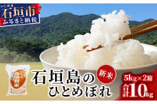 新米 石垣島のひとめぼれ 10kg 【ひとめぼれ 産地直送 新米 お米 米 白米 沖縄県 石垣市 八重山】AE-4-1