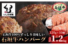 石垣牛ハンバーグ120g×10個【沖縄県 石垣市 高級 黒毛和牛 100％ 石垣牛 ビーフ ハンバーグ】AB-13-2