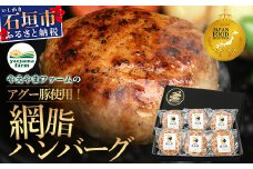石垣島産 やえやまファームのアグー豚（南ぬ豚）網脂 ハンバーグ ≪6個セット≫【 ハンバーグ 石垣島産 国産 あぐー豚ハンバーグ 沖縄県 石垣 やえやまファーム 】(tokyoFMで紹介された「南ぬ豚(ぱいぬぶた)」です！♪) E-9-1 