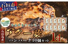 石垣島産 やえやまファームのアグ―豚（南ぬ豚）ハンバーグ10個セット (tokyoFMで紹介された「南ぬ豚(ぱいぬぶた)」です！♪) E-8-1