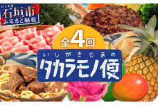 【4回/年定期配送 石垣島のタカラモノ便】 SH-3 春夏秋冬のお楽しみ(野菜 鮮魚 フルーツ 肉 牛肉 豚肉 加工品 八重山そば かまぼこ マグロ 果物 パイン マンゴー 頒布会 セット 贈答 4ヵ月)