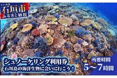 シュノーケリング利用券　石垣島のマンタ・サンゴ・ウミガメに会いに行こう YD-3-1
