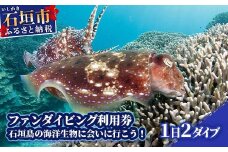 ファンダイビング利用券　石垣島のマンタ・サンゴ・ウミガメに会いに行こう！【沖縄県 石垣市 ダイビング 利用券 海 ダイバー マンタ 珊瑚 ウミガメ 旅行】YD-1-1