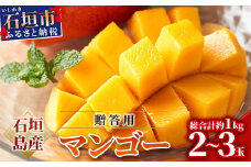 【先行予約】 石垣島産 完熟 マンゴー 2~3玉 計1kg エコファーマー認定 《2025年6月中旬より順次発送》【 完熟マンゴー 産地直送 沖縄県 石垣市 石垣島 マンゴー アーウィン 完熟 贈答 JA 】AE-5-1