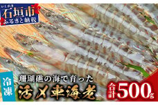 車えび500g【冷凍】25尾 ～ 33尾 沖縄県 石垣島 石垣市 クルマエビ くるまえび Sサイズ【嬉しい真空パック】エビ 海老 えび BE-05