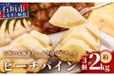 【先行受付】石垣パイン 3個セット ピーチ種 【2025年5月初旬～6月初旬発送予定】MI-2-1 パイナップル パインアップル 石垣島パイン フルーツ 果物 くだもの 南国フルーツ 国産パイン