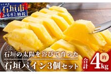 【先行受付】石垣パイン 3個セット ハワイ種【2025年6月初旬～7月下旬の発送予定】MI-6-1 パイナップル パインアップル 石垣島パイン フルーツ 果物 くだもの 南国フルーツ 国産パイン