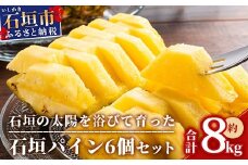 【先行受付】石垣パイン 6個セット ハワイ種【2025年6月初旬～7月下旬の発送予定】MI-7-1 パイナップル パインアップル 石垣島パイン フルーツ 果物 くだもの 南国フルーツ 国産パイン