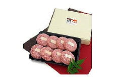 M-5 石垣牛ハンバーグ（100ｇ×8）砂川冷凍総合食品