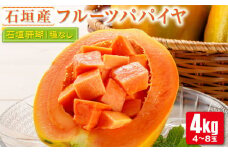 フルーツパパイヤ４kg 【 パパイヤ フルーツパパイヤ 果物 くだもの フルーツ 果実 国産  沖縄県 沖縄 石垣 石垣島 石垣市 】ZH-14