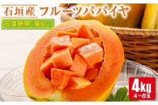 フルーツパパイヤ４kg 【 パパイヤ フルーツパパイヤ 果物 くだもの フルーツ 果実 国産  沖縄県 沖縄 石垣 石垣島 石垣市 】ZH-14