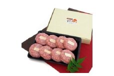 M-6 石垣牛ハンバーグ（100ｇ×16）砂川冷凍総合食品