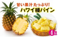 ハワイ種パイナップル４玉【沖縄県 石垣市 石垣島産 パイン パイナップル ハワイ種パイナップル】ZH-16 